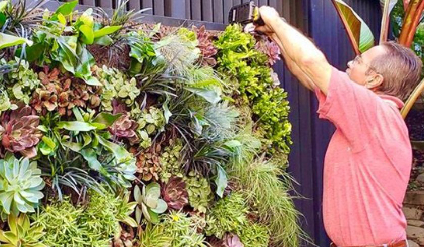 Tropical Living Walls Install. Tropical Living Wall Design. Vertical Garden Solutions provides its clients with Moss Walls, Succulent Living Walls and Tropical Living Walls