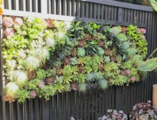 Living Wall System Succulent Wall Cortica. Tropical Living Wall Design. Vertical Garden Solutions provides its clients with Succulent Living Walls and Tropical Living Walls