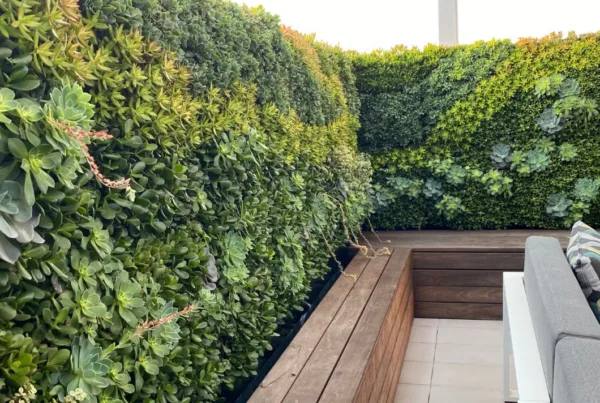 Living Wall System Succulent Wall VGS System. Tropical Living Wall Design. Vertical Garden Solutions provides its clients with Succulent Living Walls and Tropical Living Walls