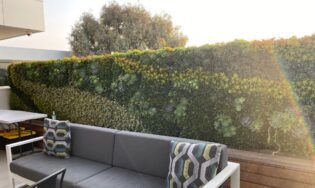 Succulent Living Wall Design. Vertical Garden Solutions provides its clients with Succulent Living Walls and Tropical Living Walls