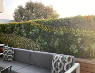 Succulent Living Wall Design. Vertical Garden Solutions provides its clients with Succulent Living Walls and Tropical Living Walls
