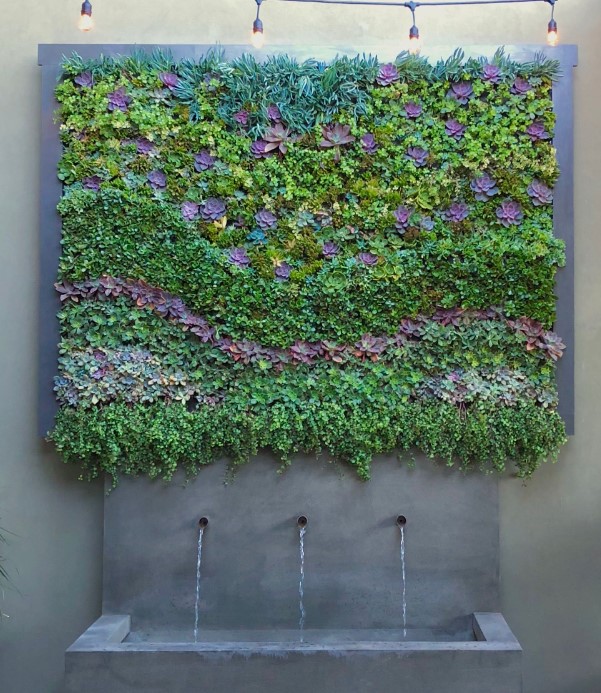 Succulent Wall Design. Vertical Garden Solutions provides its clients with Succulent Living Walls