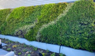 Succulent Wall Design. Vertical Garden Solutions provides its clients with Succulent Living Walls