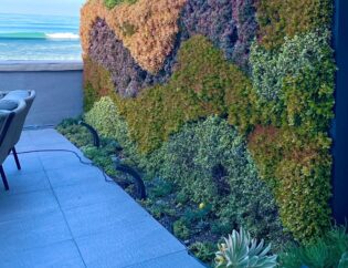 Succulent Living Walls on a mansion beach property. Vertical Garden Solutions provides its clients with Succulent Living Walls