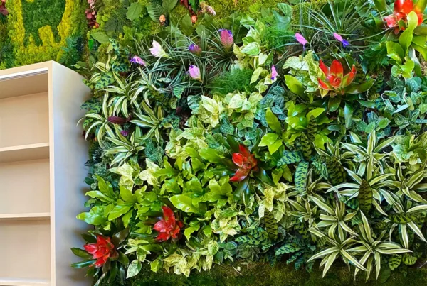 Moss Living Wall Design with a Living Wall Tropical. Vertical Garden Solutions provides its clients with Moss Walls & Living Walls