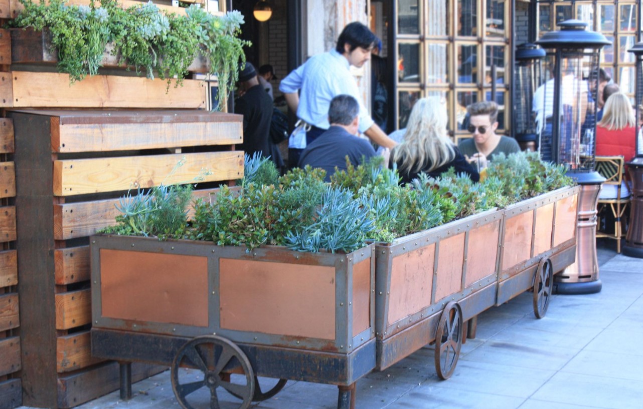 Green Living Walls Ironside Restaurant. Vertical Garden Solutions provides Succulents Walls to our clients