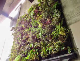 Tropical Living Green Wall Design for Under Belly Living Wall for client, with colorful succulents and other plants
