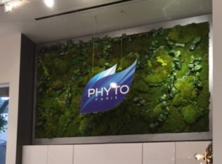 Moss Living Wall. Vertical Garden Solutions provides Moss Walls to their clients. Phyto Salon Studio wanted a large Preserved Moss Wall