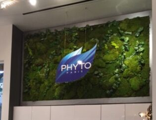 Moss Living Wall. Vertical Garden Solutions provides Moss Walls to their clients. Phyto Salon Studio wanted a large Preserved Moss Wall