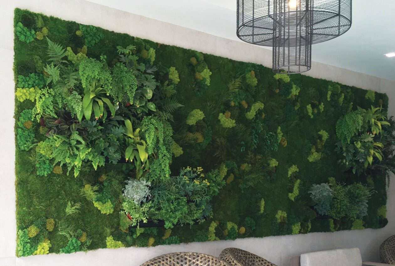 Moss Living Wall. Vertical Garden Solutions provides Moss Walls to their clients. Lincoln Web wanted a large Preserved Moss Wall