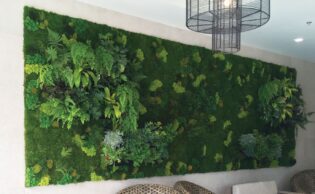 Moss Living Wall. Vertical Garden Solutions provides Moss Walls to their clients. Lincoln Web wanted a large Preserved Moss Wall