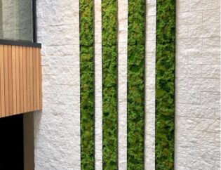 Moss Art Retail. Vertical Garden Solutions Provide Moss Art Walls For Customers