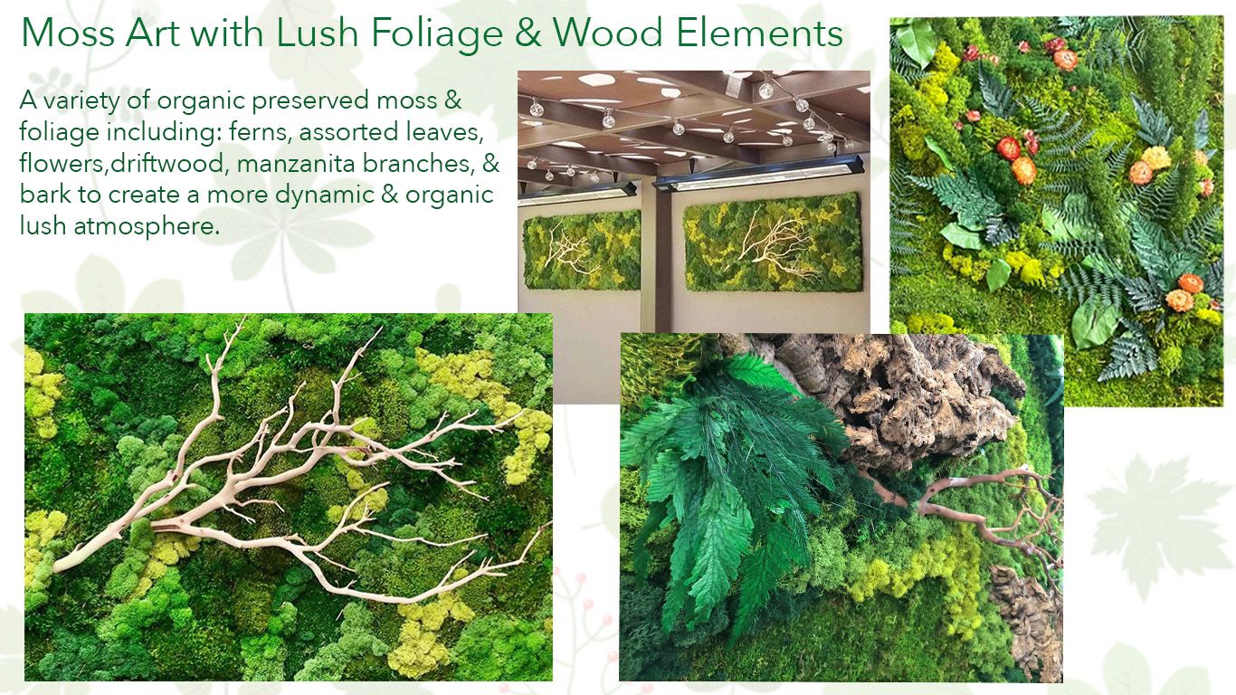 Moss Wall with Lush Foliage & Wood Elements. Vertical Garden Solutions provides Moss Walls and Living Walls to their Clients