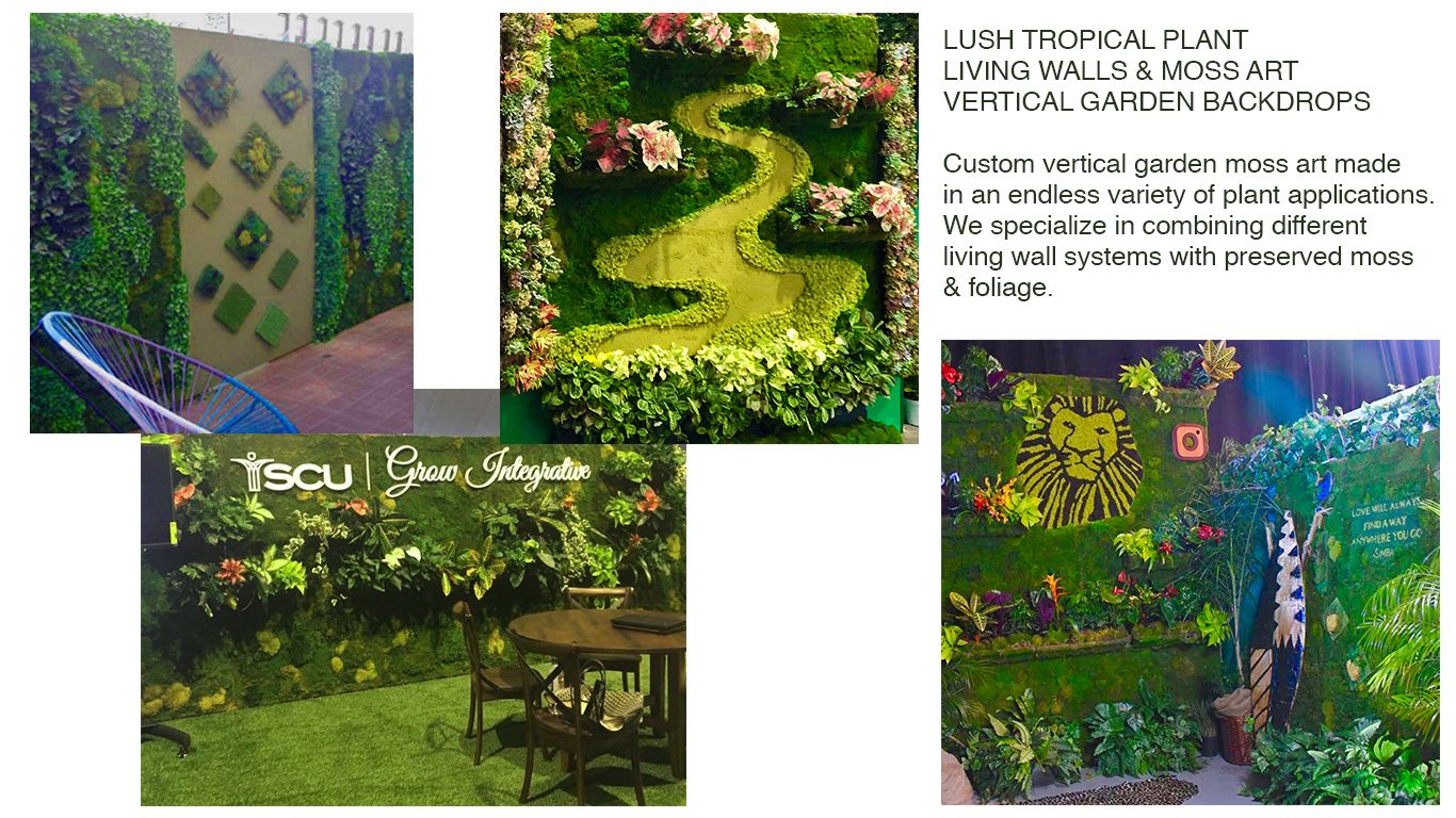Living Wall & Moss Wall Combination. Vertical Garden Solutions provides Moss Walls and Living Walls to their Clients