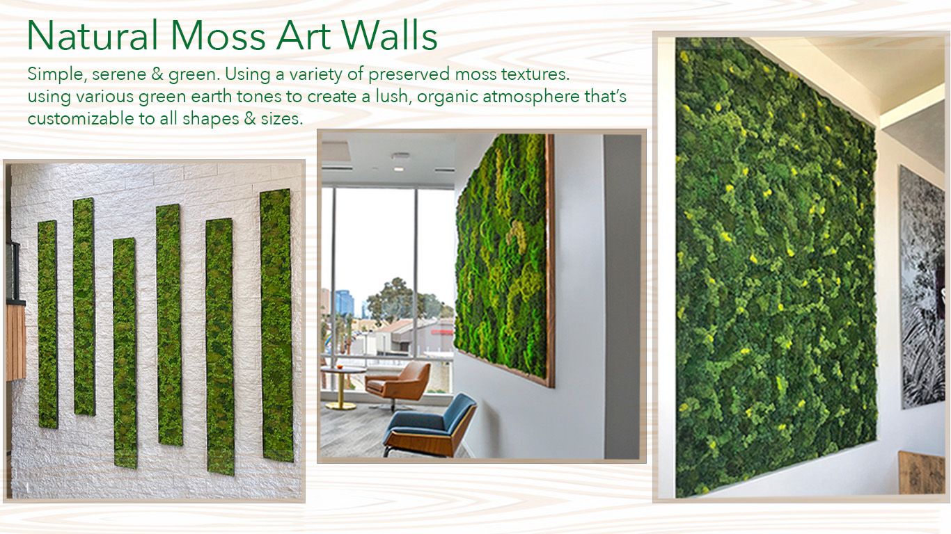Natural Moss Art Wall. Vertical Garden Solutions provides Moss Walls to their Clients