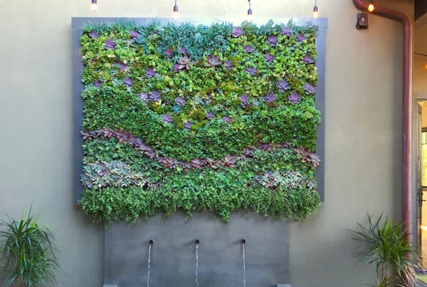 Succulent Wall Design. Vertical Garden Solutions provides its clients with Succulent Living Walls