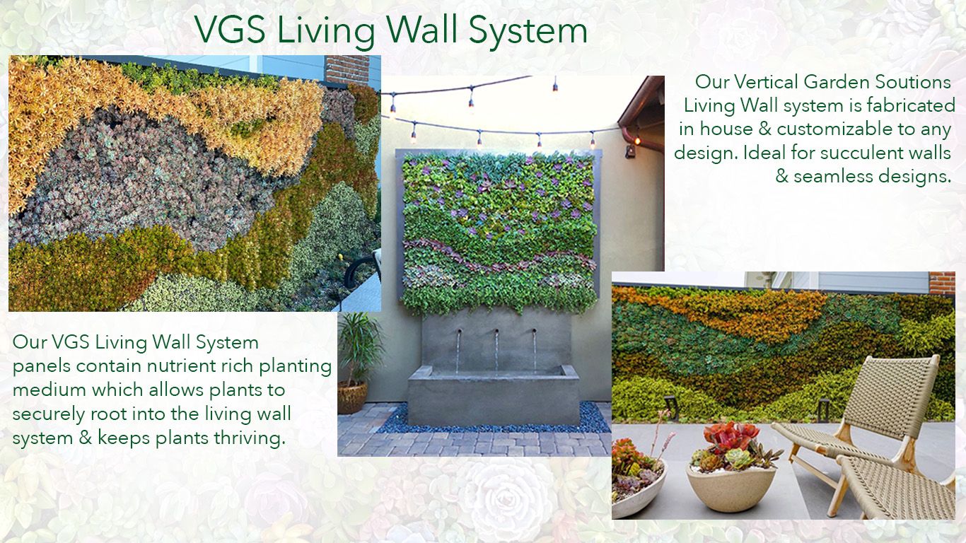 VGS_Living_Wall_Sytem VGS Living Wall System provide Living Walls and Succulent Walls for their Vertical Garden Solutions Clients