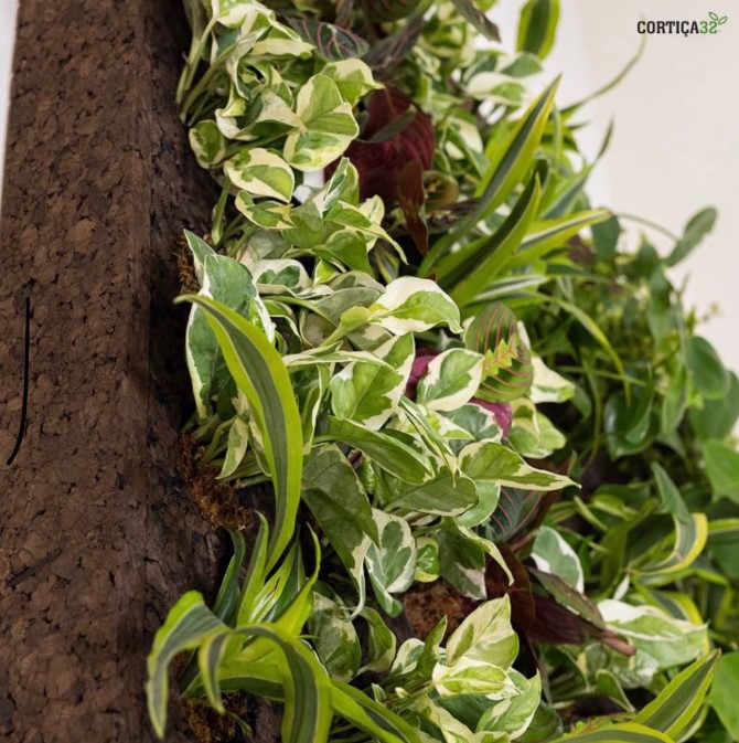 Cortica Living Wall System, Cork Living Wall with Tropical Plants