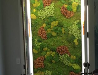 Moss Living Wall. Vertical Garden Solutions provides Moss Walls to their clients