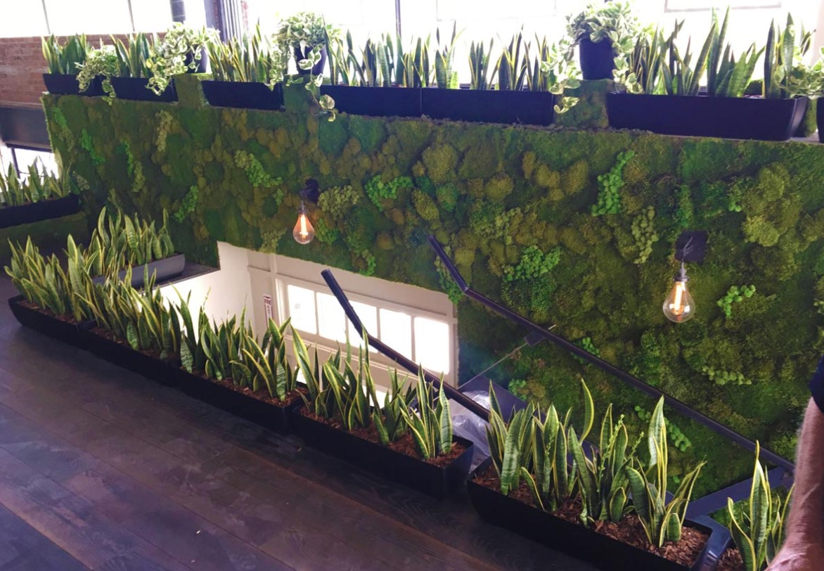 Residential Moss Living Wall. Vertical Garden Solutions provides Moss Walls to their clients