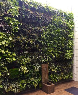 Tropical Living Green Wall Design for Residential Living Wall client. Vertical Garden solutions provides Living Walls with tropical plants or with colorful succulents
