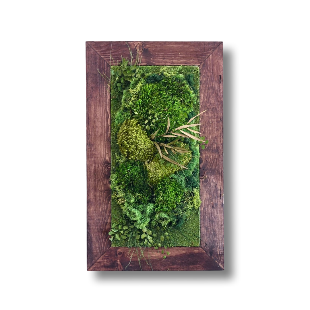 Preserved moss art & foliage framed