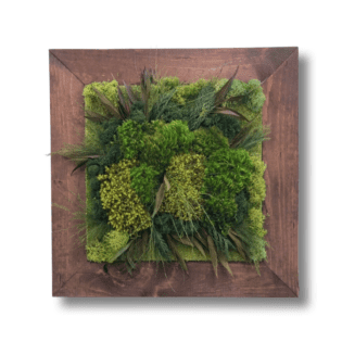 Moss Art & Foliage Framed 12"x12
