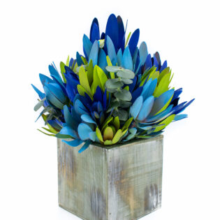Small Blue Mix Fresh Protea and Eucalyptus Basket