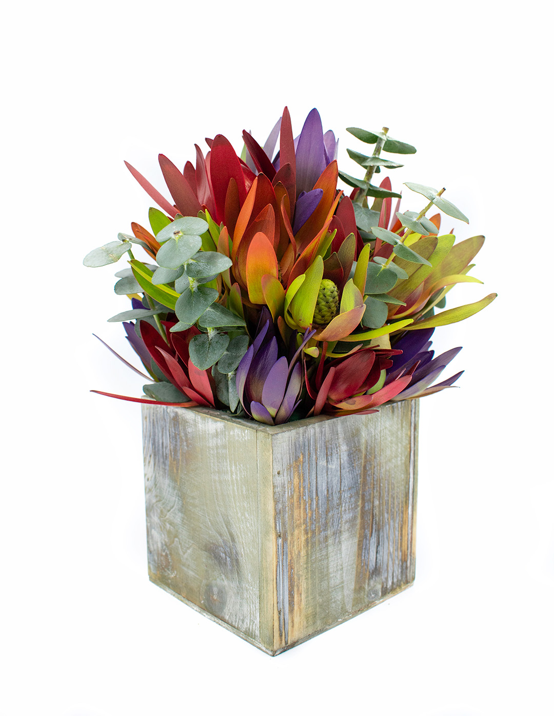Small Multicolor Mix Fresh Protea and Eucalyptus Basket