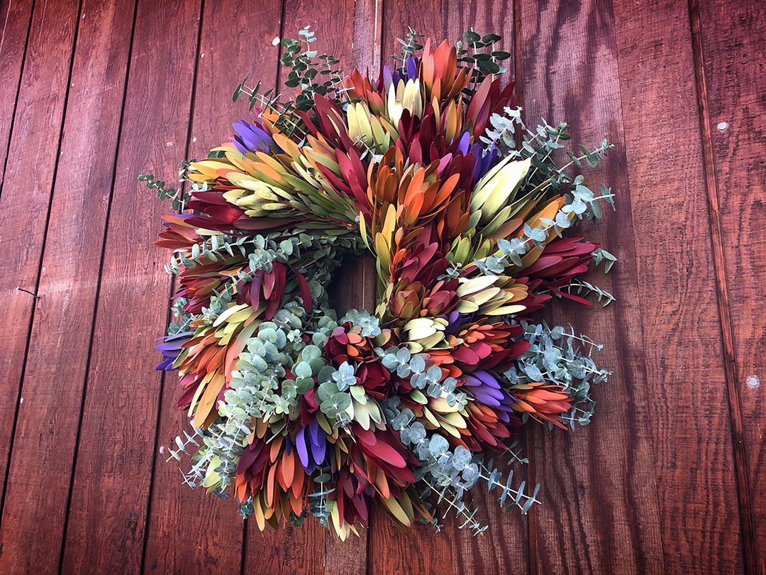 Multicolor Seasonal Protea Wreath