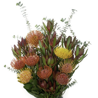 Tropical Protea Bouquet
