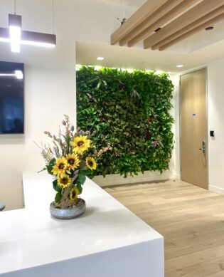 preserved foliage office design