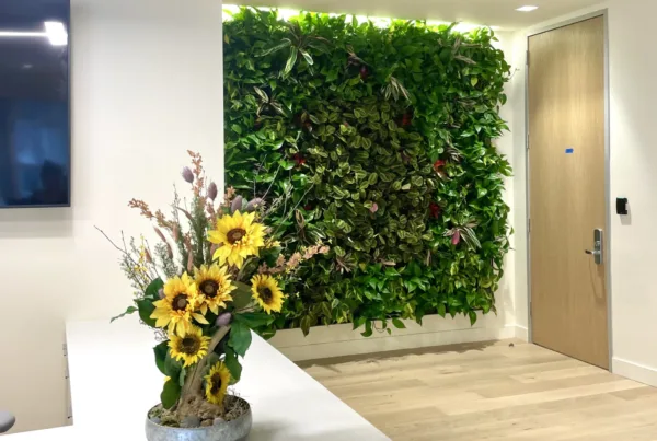 preserved foliage arrangement office interior biophilic design