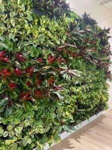 Vertical Garden Solutions - Vertical Garden Solutions