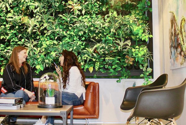 Living wall in Office