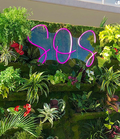 Moss wall with tropical living green wall design for event rental client. Vertical Garden Solutions provides living walls with tropical plants and moss.