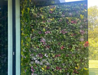 Beverly Hills living wall with moss finishes.