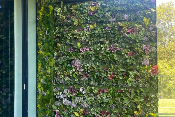 Living Wall Design with Moss finishes for client in Beverly Hills, with colorful plants and moss. Vertical Garden Solutions provides Residential Living Moss Walls