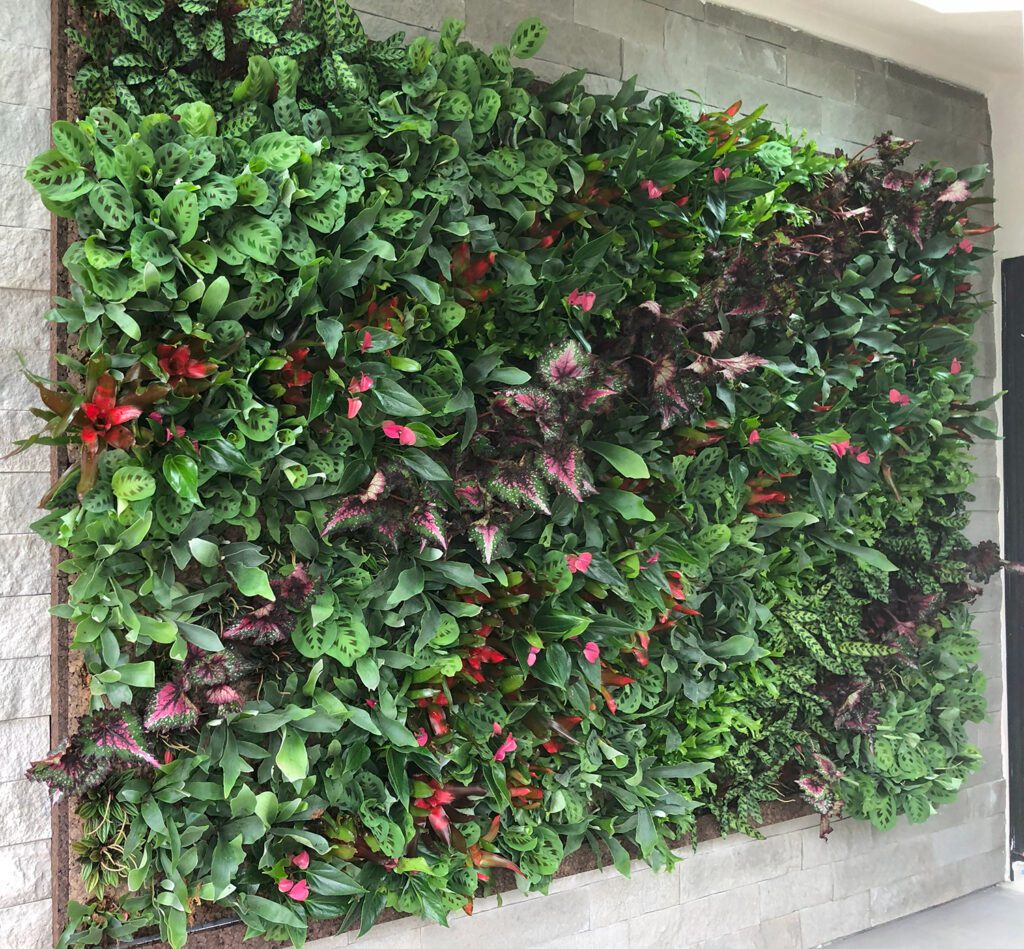 Tropical Living Wall Design. Vertical Garden Solutions provides its clients with Tropical Living Walls