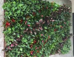 Tropical Living Wall Design. Vertical Garden Solutions provides its clients with Tropical Living Walls