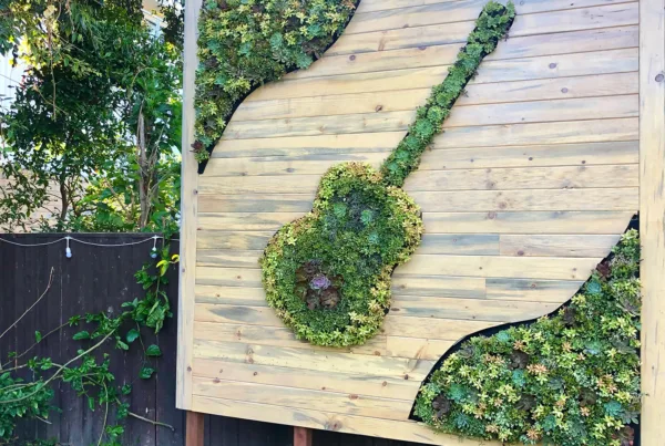 Privacy Living Wall with Succulents. Vertical Garden Solutions provided custom shaped living walls to clients in San Diego and Los Angeles.