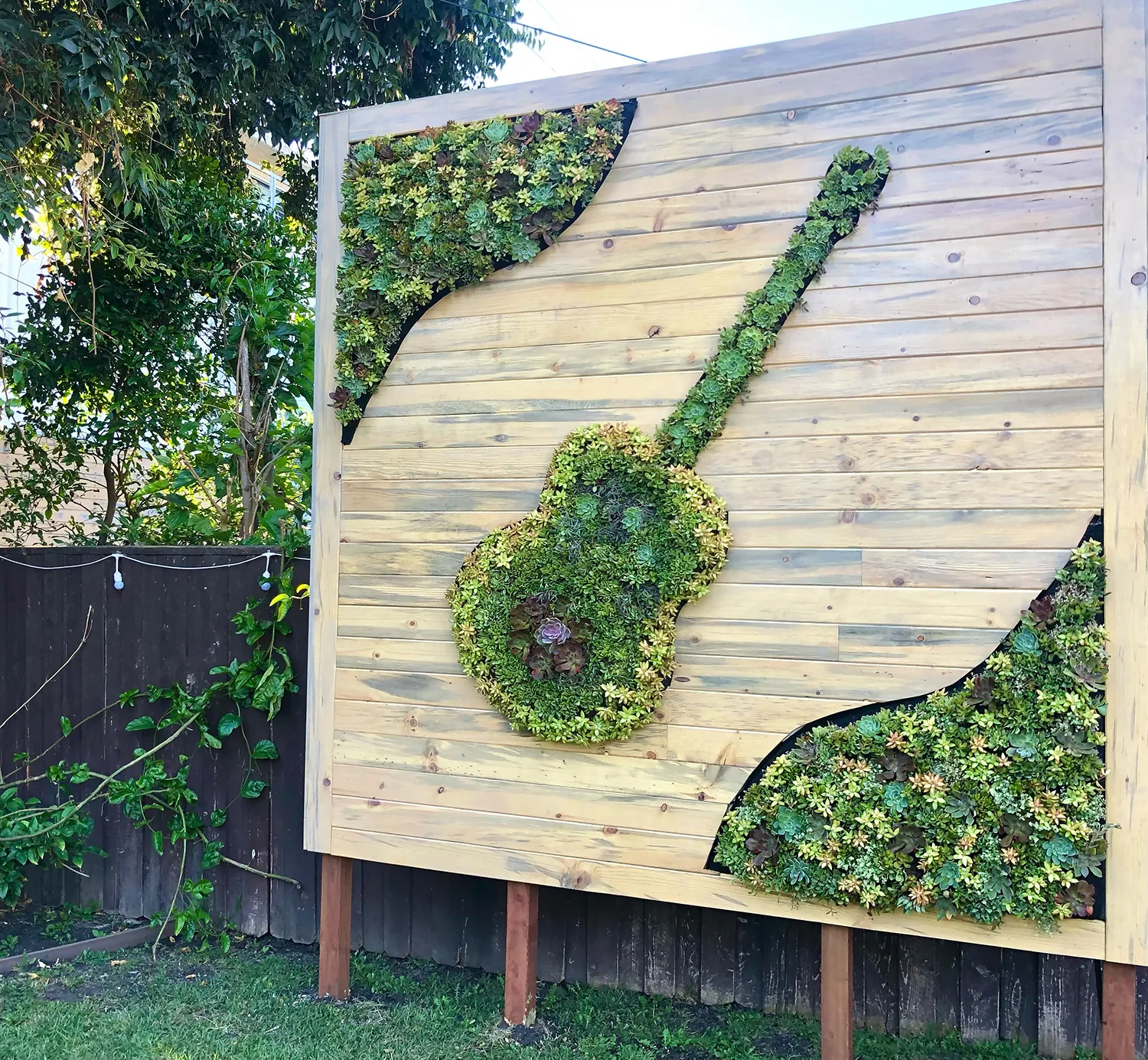 Privacy Living Wall with Succulents. Vertical Garden Solutions provided custom shaped living walls to clients in San Diego and Los Angeles.