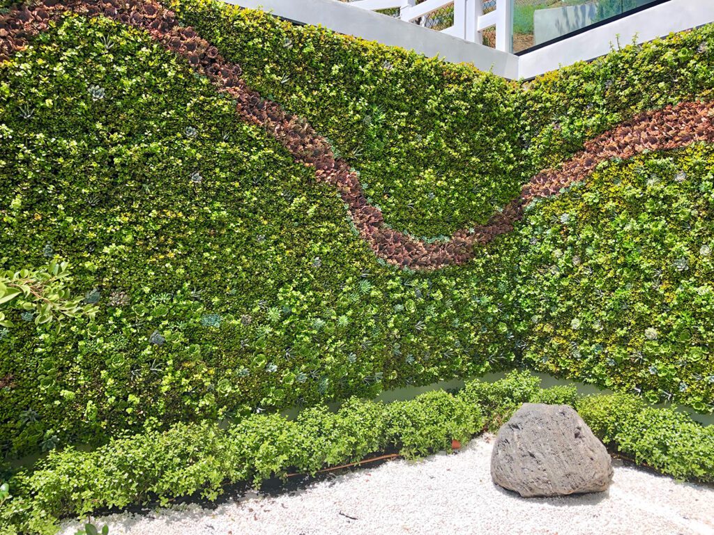 Living Succulent Wall Design for client. Vertical Garden Solutions provides Living Succulent Walls for clients in San Diego and Los Angeles