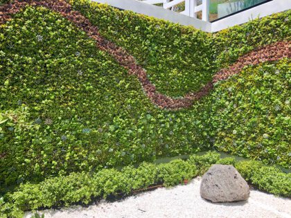 Outdoor living wall in urban environment.