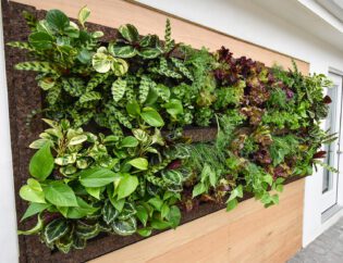Tropical Living Wall with Herbs and Vegetables