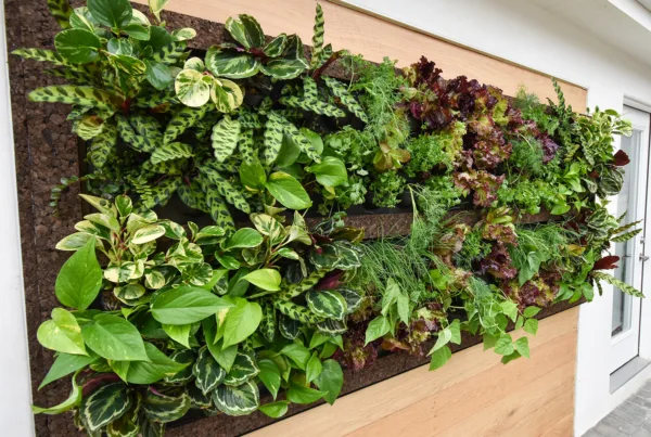 Tropical Living Wall with Herbs and Vegetables