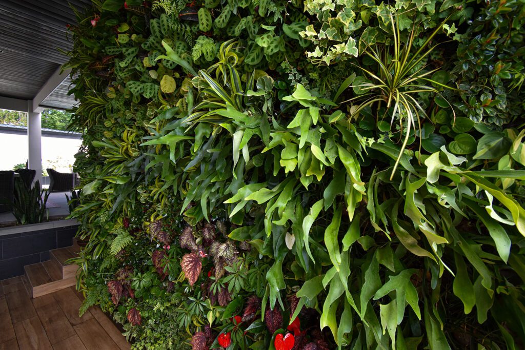 Vertical Garden Solutions - Vertical Garden Solutions