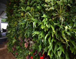 Residential living wall with tropical plants