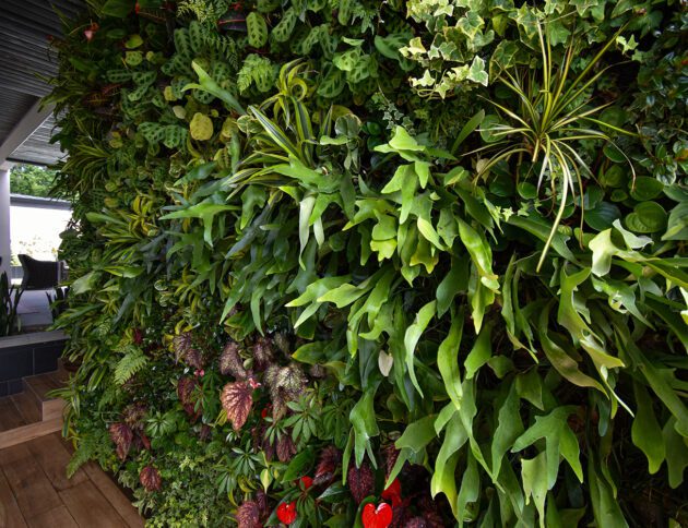 Vertical Garden Solutions - Vertical Garden Solutions