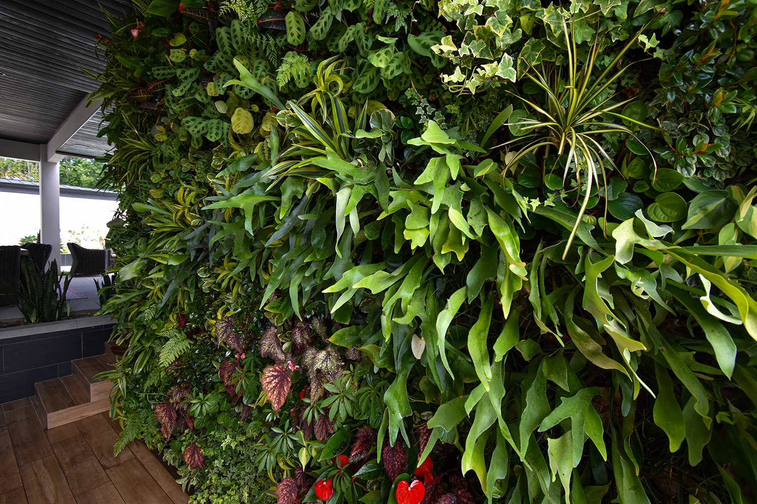 Residential living wall with tropical plants